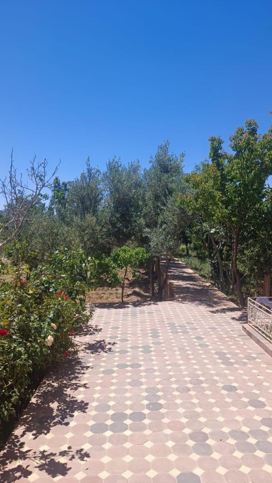 Chez L'Habitant Amazigh 우아르자자테 외부 사진